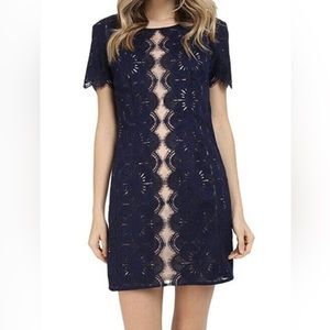 Trina Turk Navy & Champagne Scalloped Lace Dress, Sz 10
